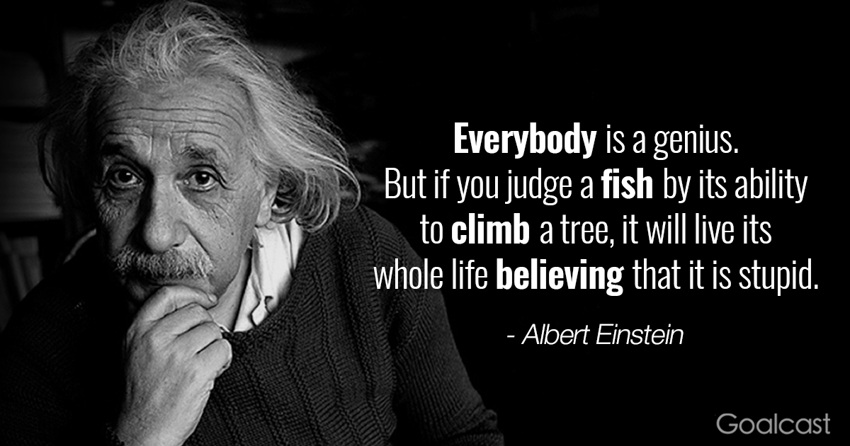 Albert-Einstein-quotes-Genius1.jpg