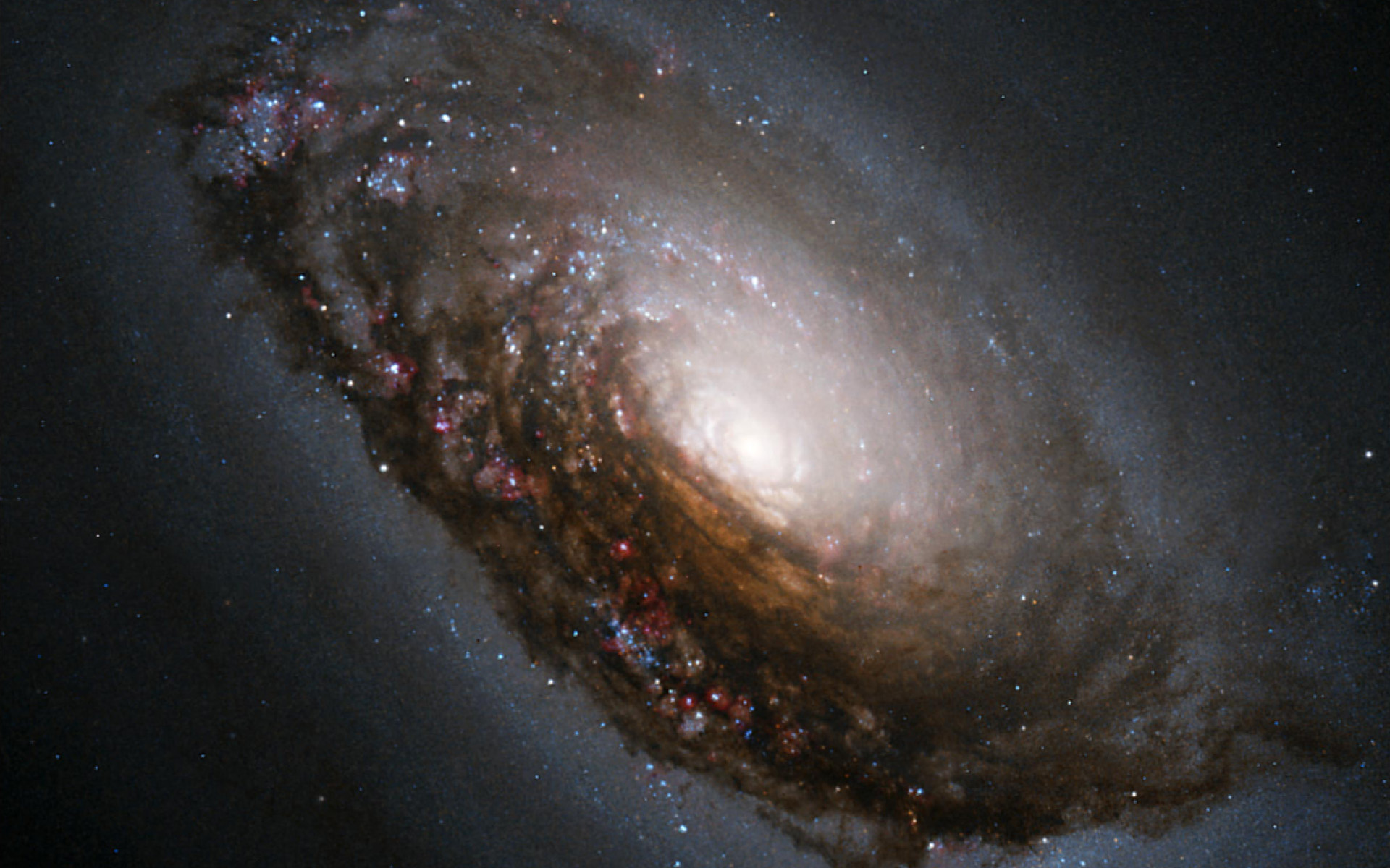 Dust-filled Galaxy from Hubble