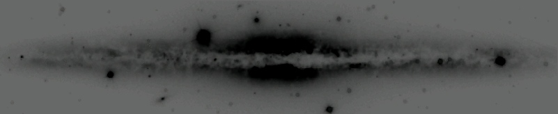 NGC 891 Negative