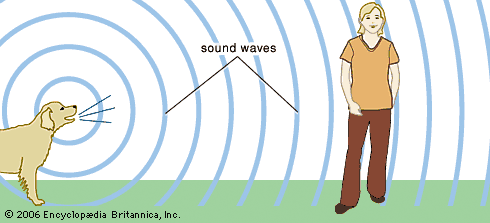 sound waves dog.gif