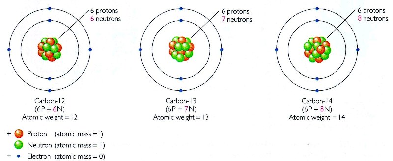 carbon isotopes.jpg