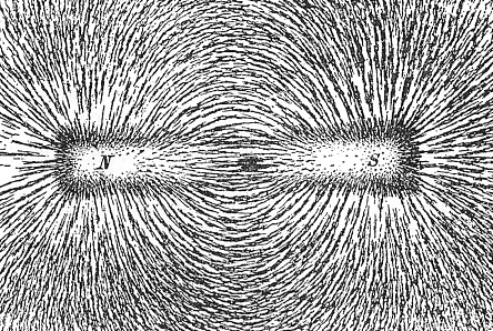 magnetic field iron filaments.png