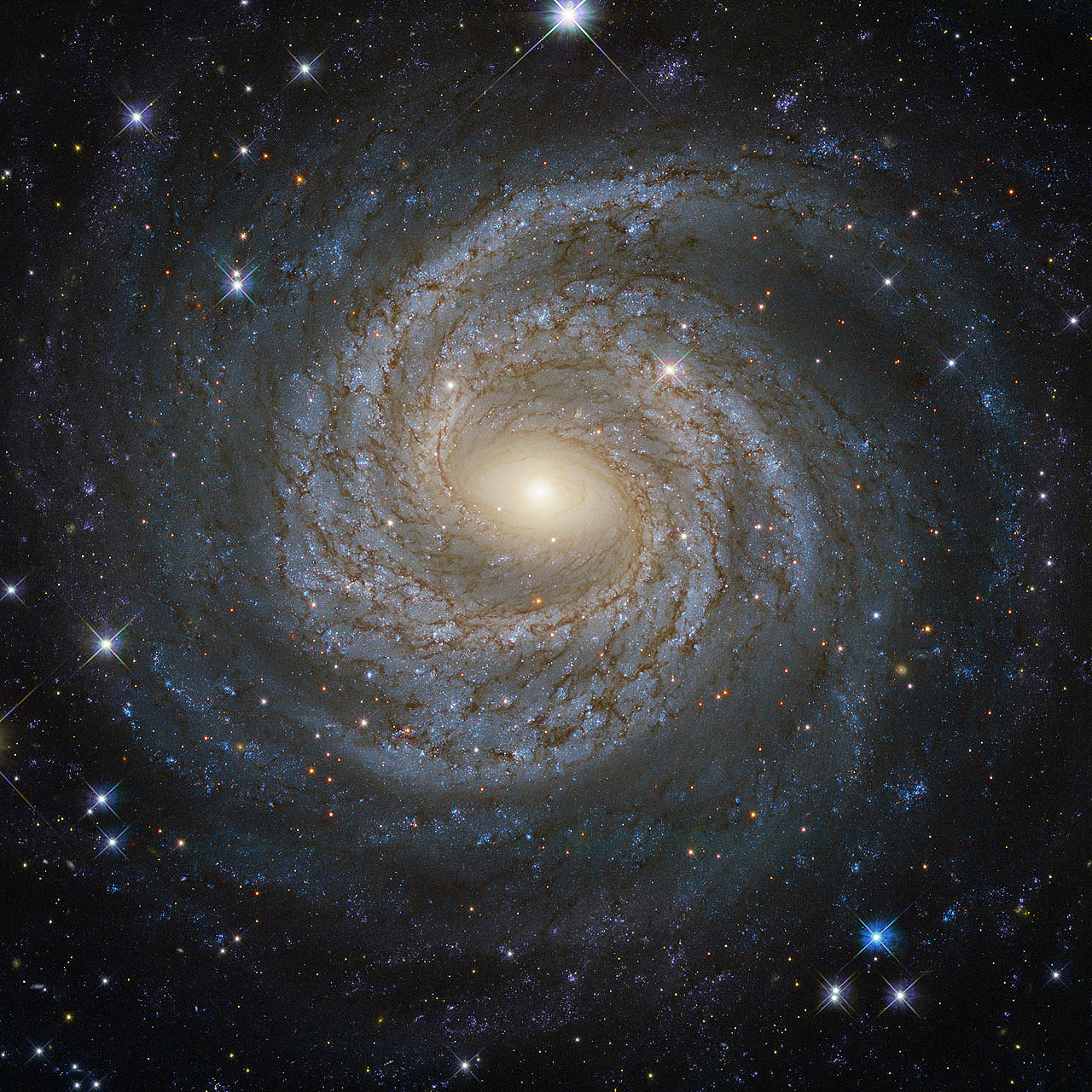 Jean-Baptiste Faure: Spiral Seyfert Galaxy NGC 6814